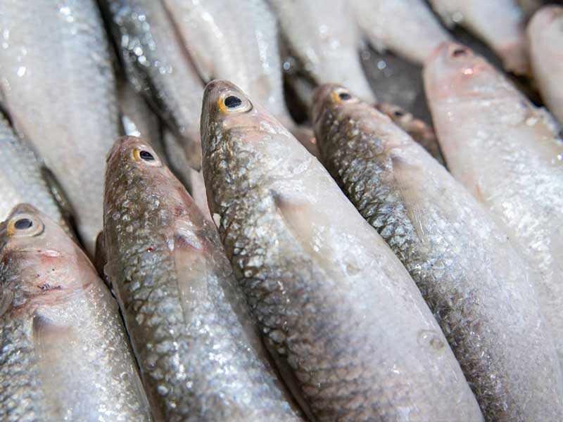 �������ɻ: ��� ���� ��� �����ϻ �� ������ ��������� ��� 30 ������